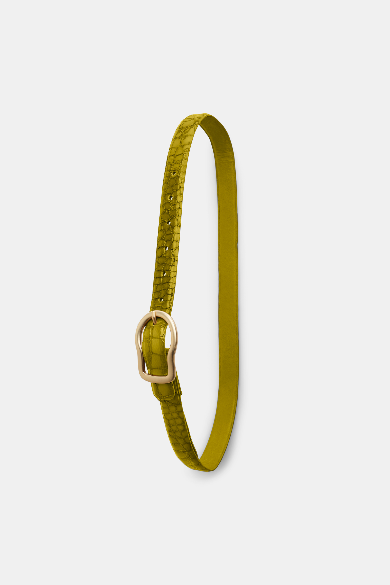 Dorothee Schumacher Reversible belt leguan green